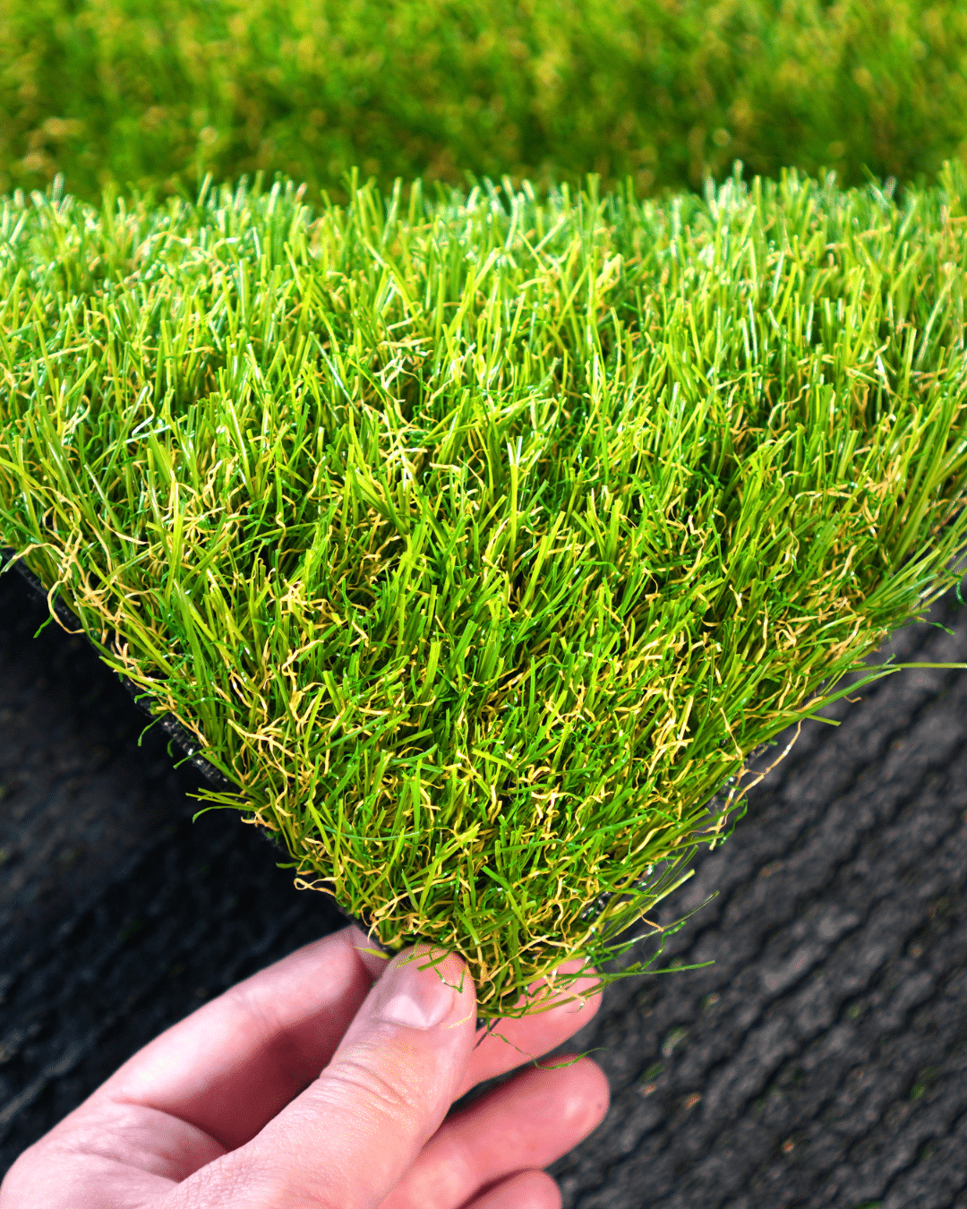 A hand holding a sample of Olympic artificial turf.